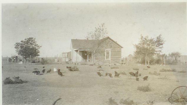 Panhandle Home,P Turners